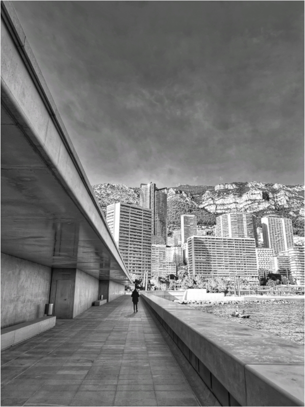 Black-and-white city street photo print with waterfront buildings